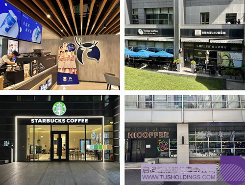 1689045966221106.jpg 8c.jpg